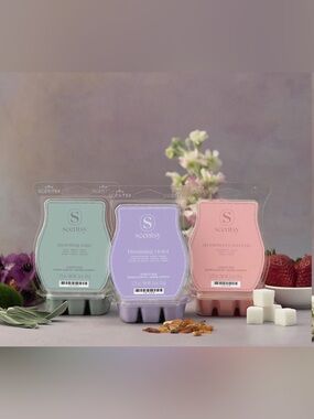 Scentsy 2026 Garden Bundle EPCOT Flower & Garden Festival Disney World Wax Bars